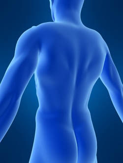 Foto Hauterkrankungen Foto Hauterkrankungen